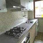 Apartment Bucarest A Pochi Passi Dal Marerifa444